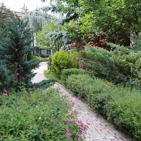 Комплекс 